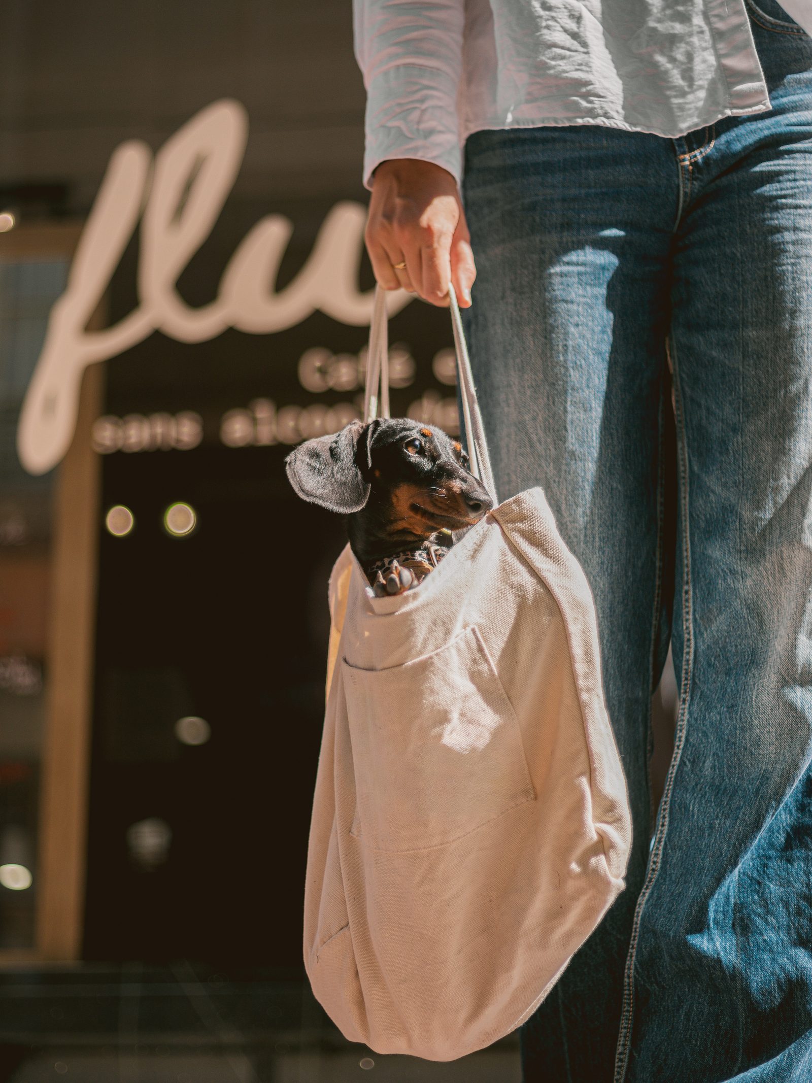 Abba qui sort la tête d'un tote bag devant la vitrine